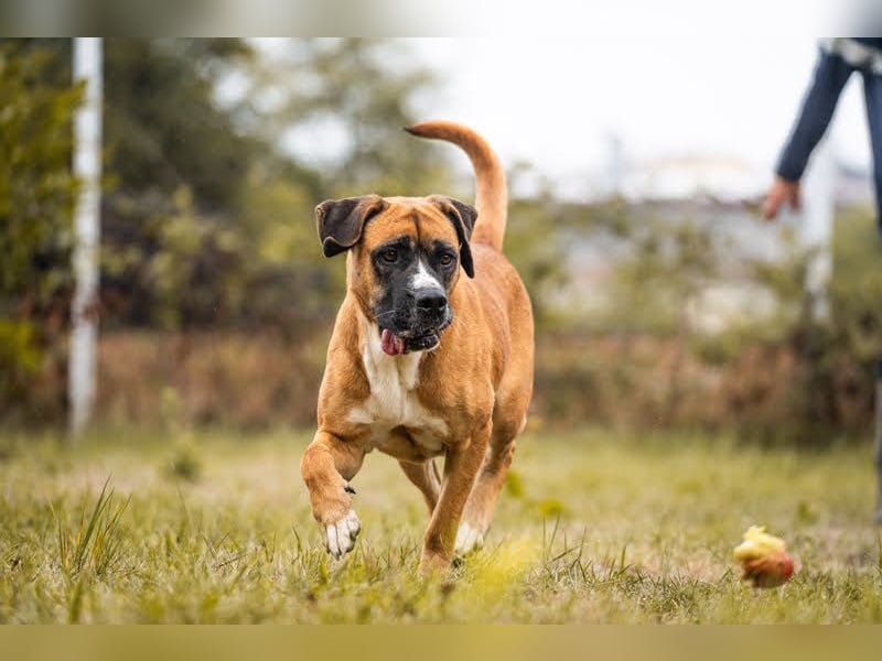 Bonita: Deine neue Wegbegleiterin?