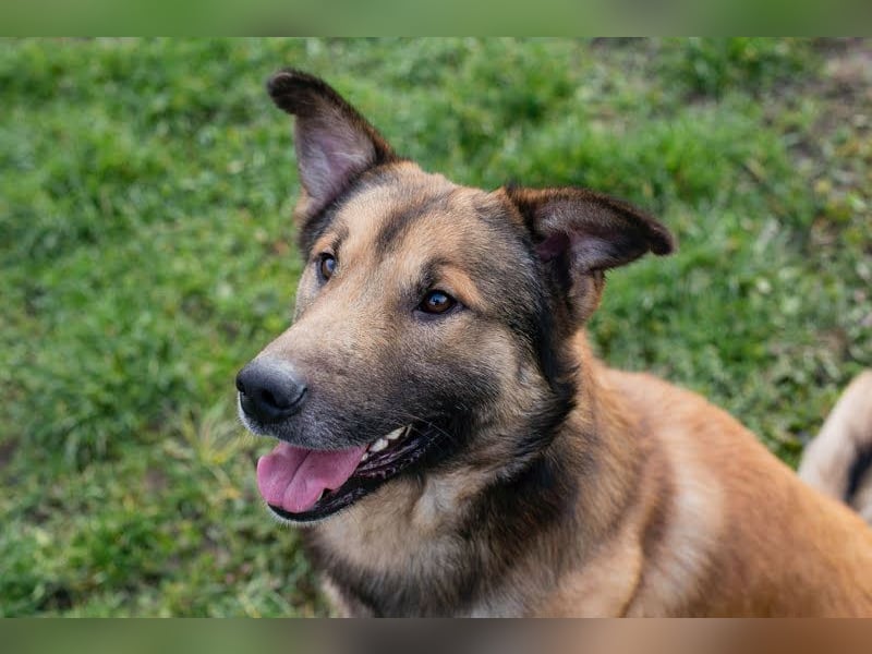 Alex – möchte voll durchstarten