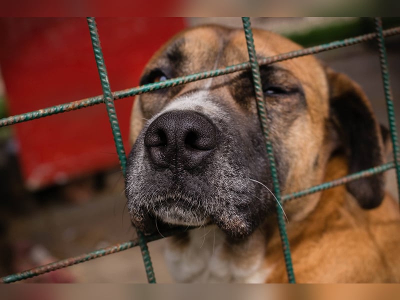 Bonita: Deine neue Wegbegleiterin?