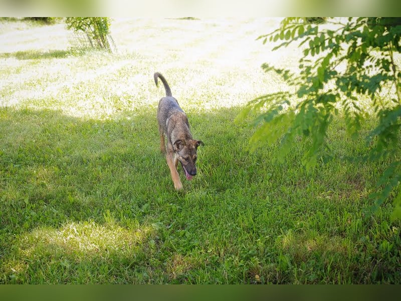 Marlee: Lebensfreude sucht Zuhause