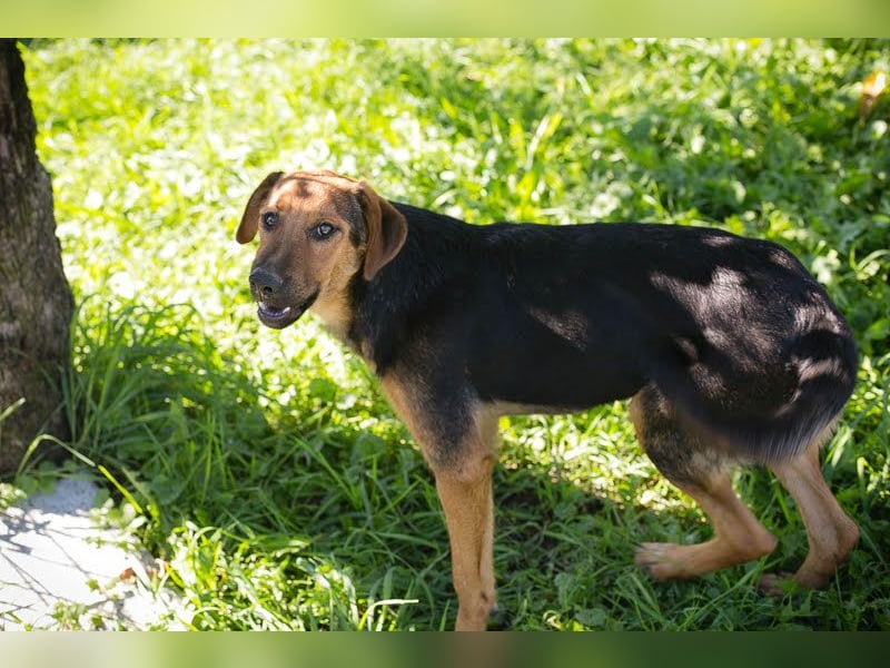 Akascha: Möchte endlich nach Hause!