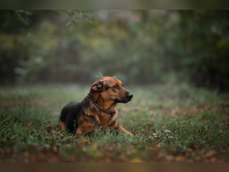 Akascha: Möchte endlich nach Hause!
