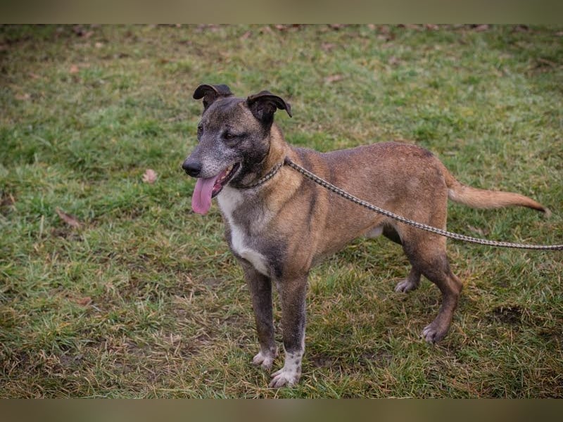 Grisu: Warum sieht ihn niemand?