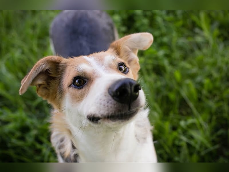 Julie – ein Goldschatz