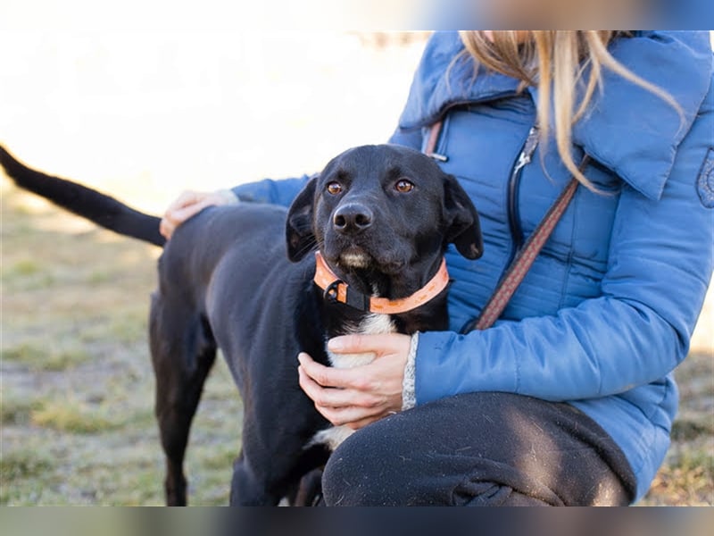 Larry: Sportskanone sucht Gleichgesinnte