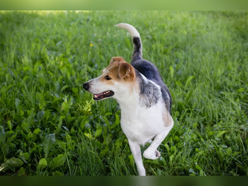 Julie – ein Goldschatz