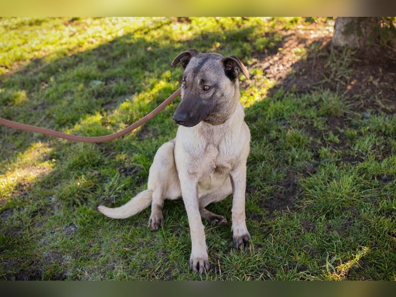 Amelie: Sanftmut trotz Schmerz