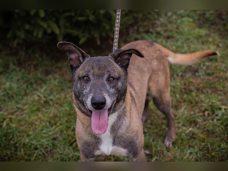 Grisu: Warum sieht ihn niemand?