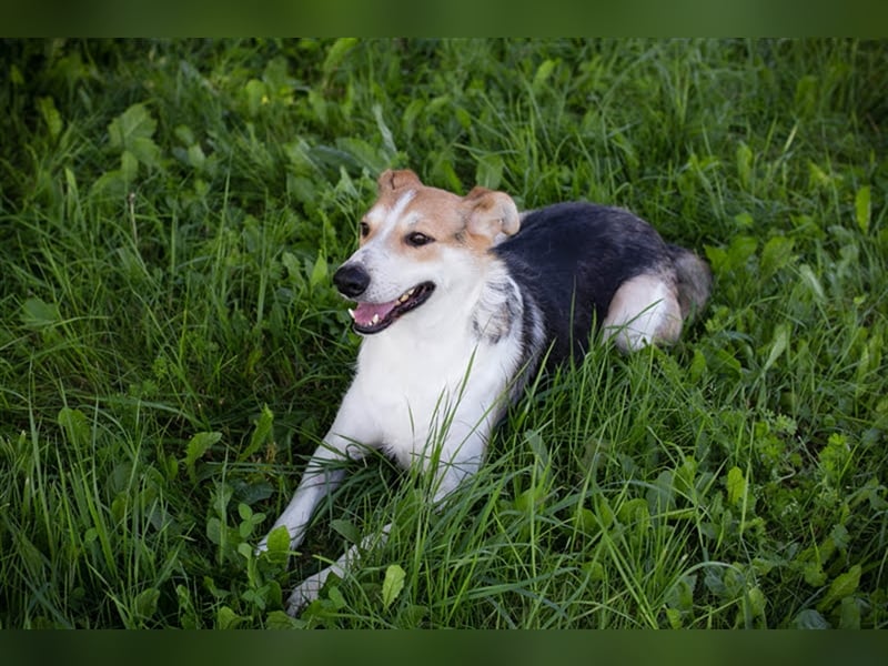 Julie – ein Goldschatz