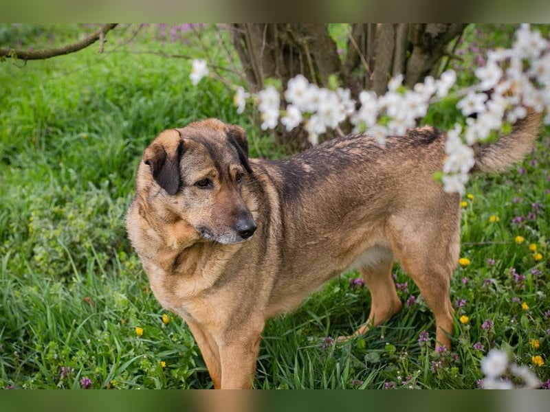 Smiley: Voller Liebe und Hoffnung