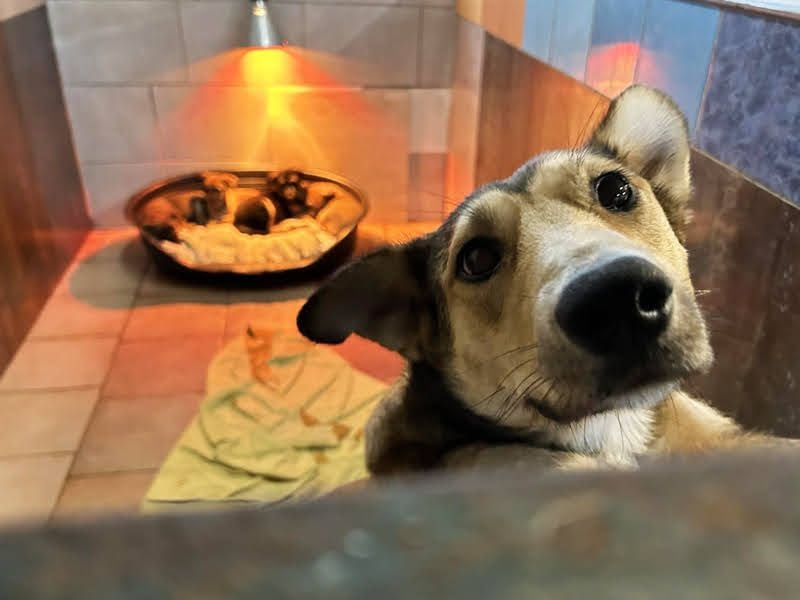 Aura: Kuschelmaus sucht Liebe