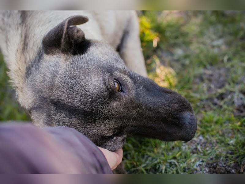 Amelie: Sanftmut trotz Schmerz