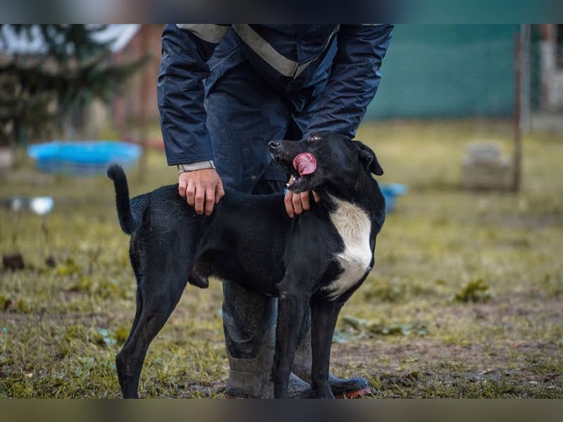 Larry: Sportskanone sucht Gleichgesinnte