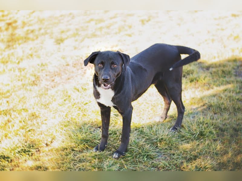 Larry: Sportskanone sucht Gleichgesinnte