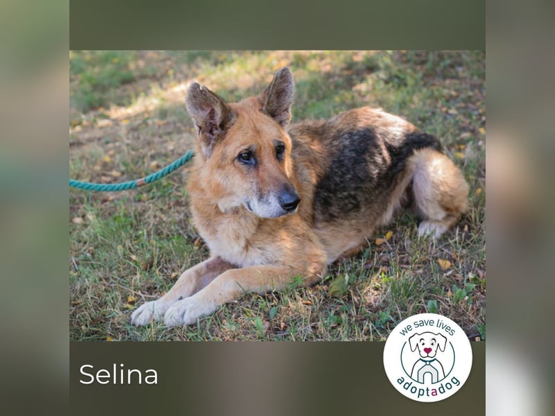 Selina sucht ein Zuhause