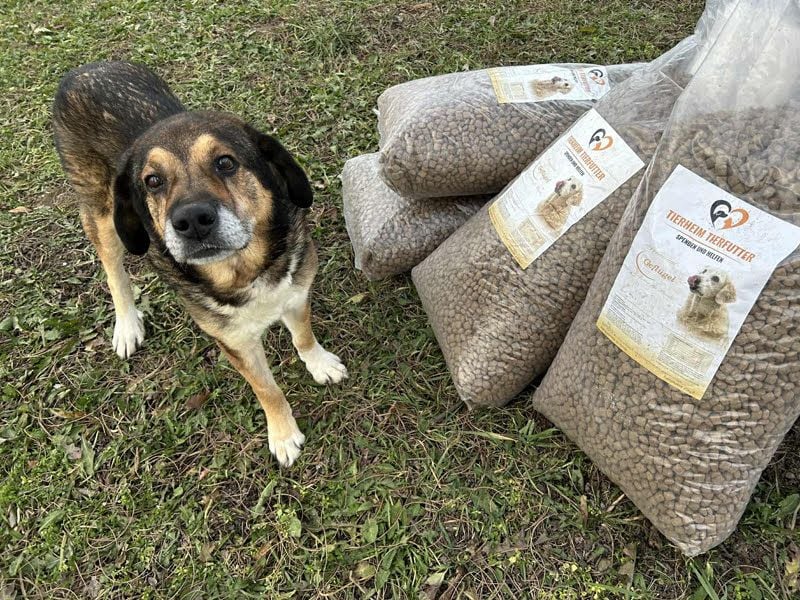 Casimir: Lieber Rüde