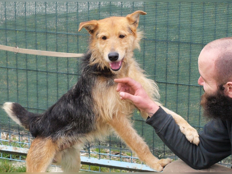 Bently: sucht Sicherheit