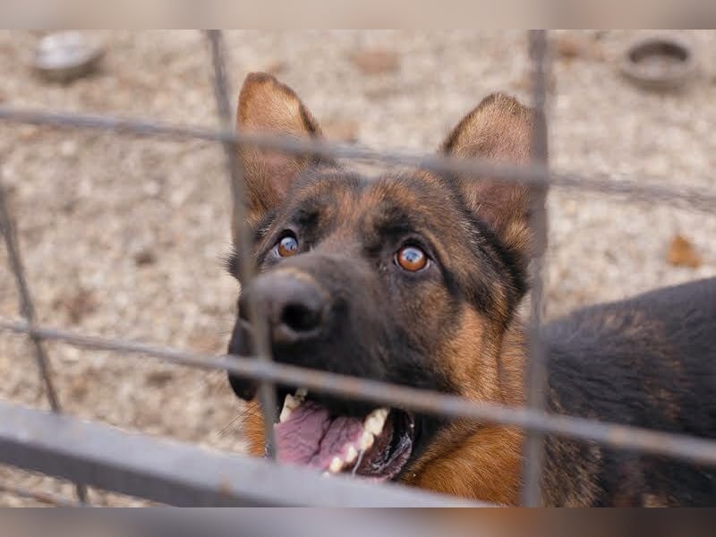 Ich bin Clint: ein Leben in der Warteschleife