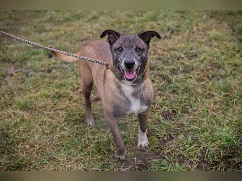 Grisu: Warum sieht ihn niemand?