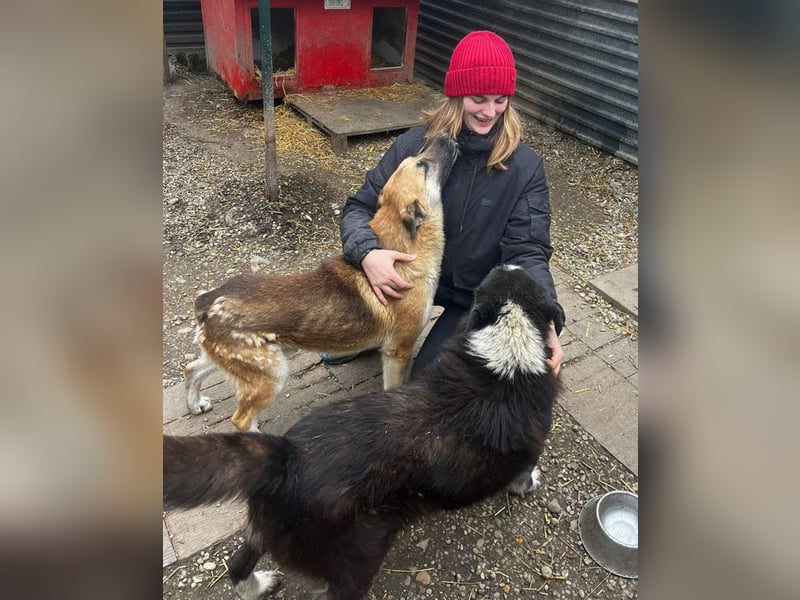 Marty sucht seine Menschen