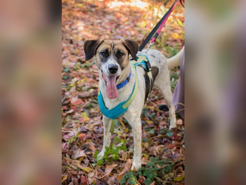 Nada: ein Name, der Hoffnung trägt