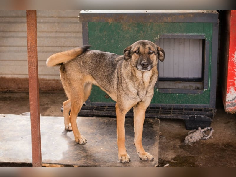 Marlee: Lebensfreude sucht Zuhause