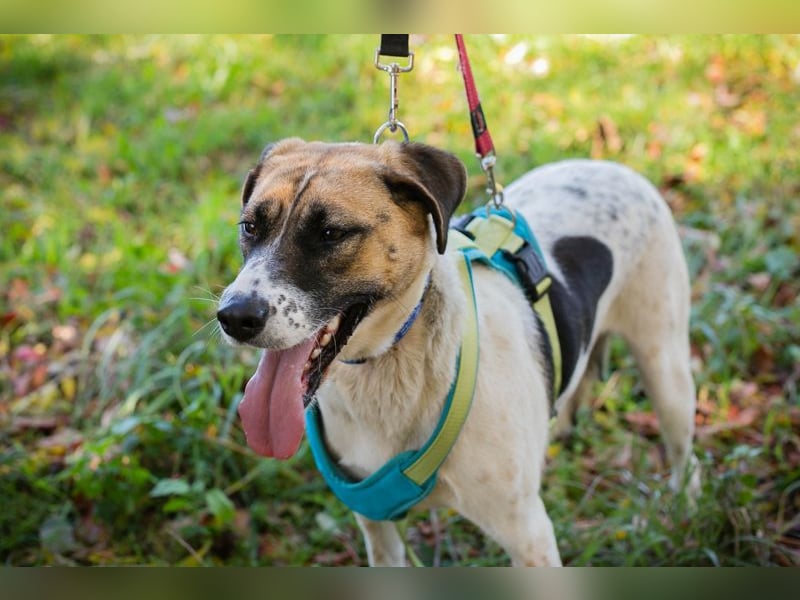 Nada: ein Name, der Hoffnung trägt