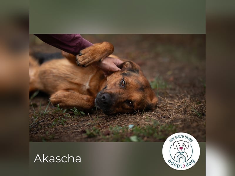 Akascha: Möchte endlich nach Hause!