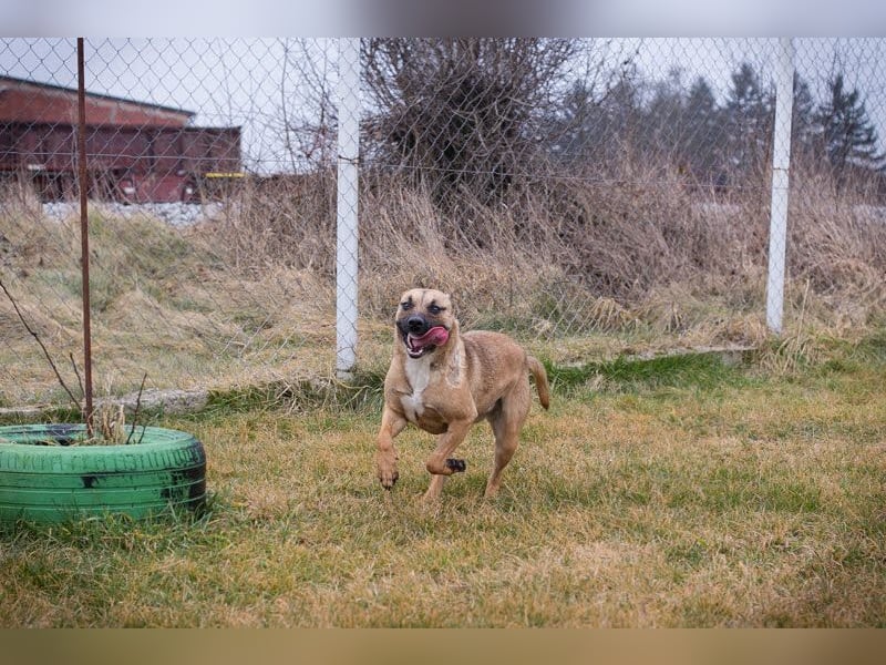 Berta: Bald ganz nah an deinem Herzen?