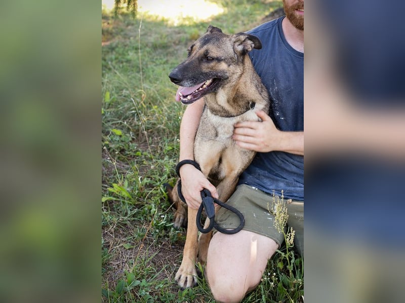 Marlee: Lebensfreude sucht Zuhause