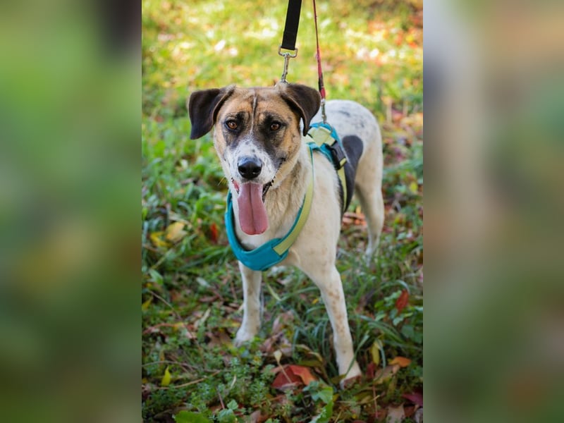 Nada ist voller Hoffnung