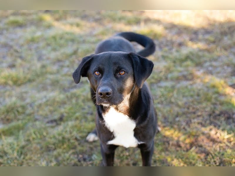 Larry: Sportskanone sucht Gleichgesinnte