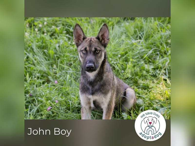 John Boy sucht ein Zuhause
