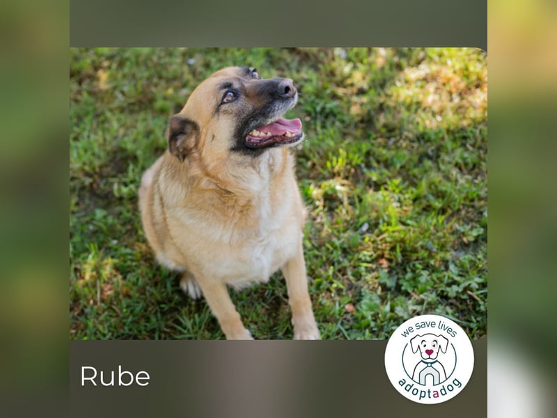 Rube: Liebevolle Begleiterin