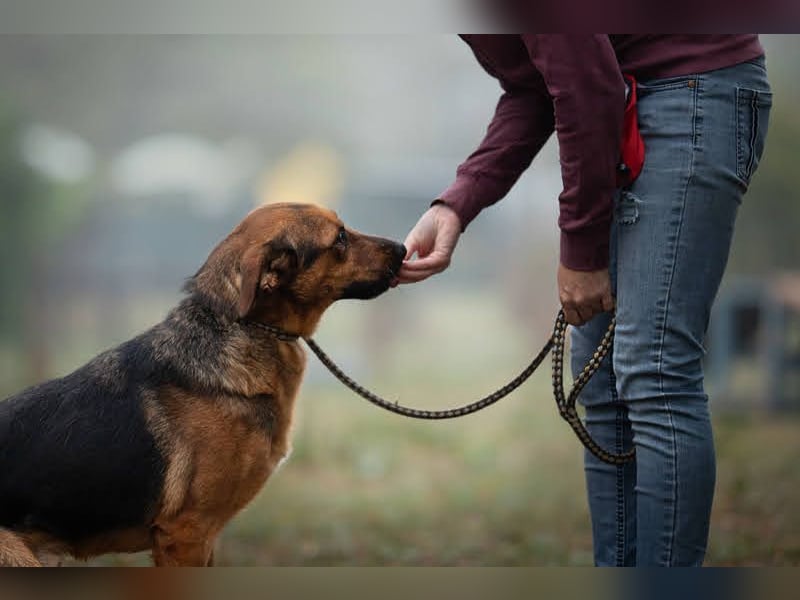 Akascha: Möchte endlich nach Hause!