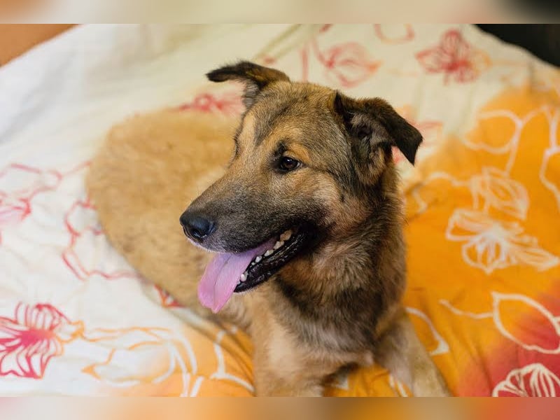 Alex – möchte voll durchstarten