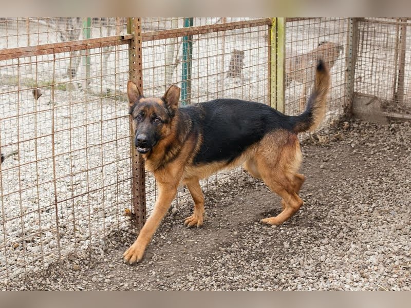 Ich bin Clint: ein Leben in der Warteschleife