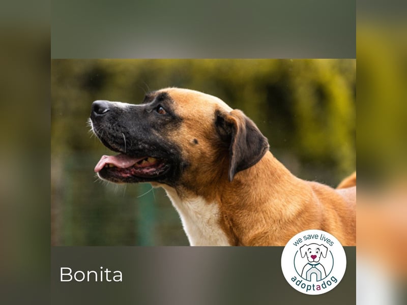 Bonita: Deine neue Wegbegleiterin?