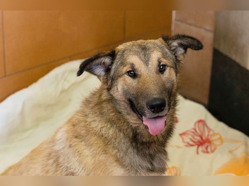 Alex – möchte voll durchstarten