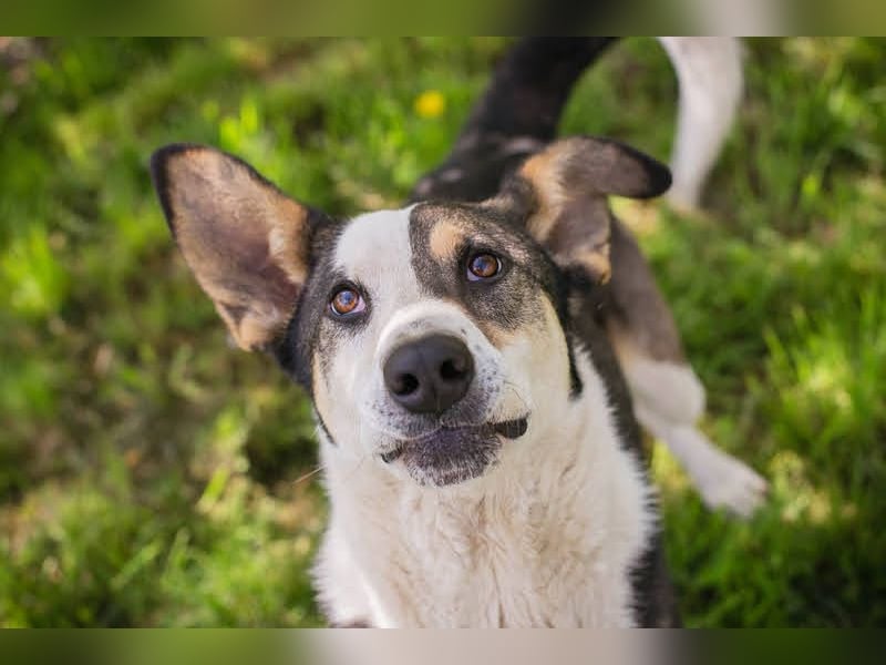 Jim: Sucht ein Abenteuer