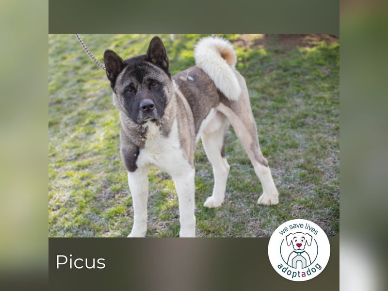 Picus Oskar: Zweite Chance fürs Leben