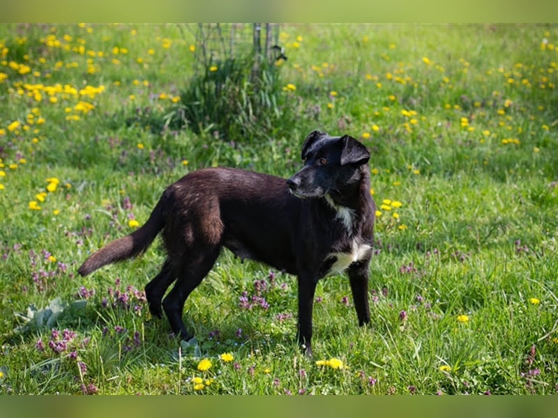 Benek: Träumt von einem Zuhause