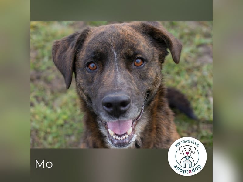 Mo: Sozial und voller Lebenslust