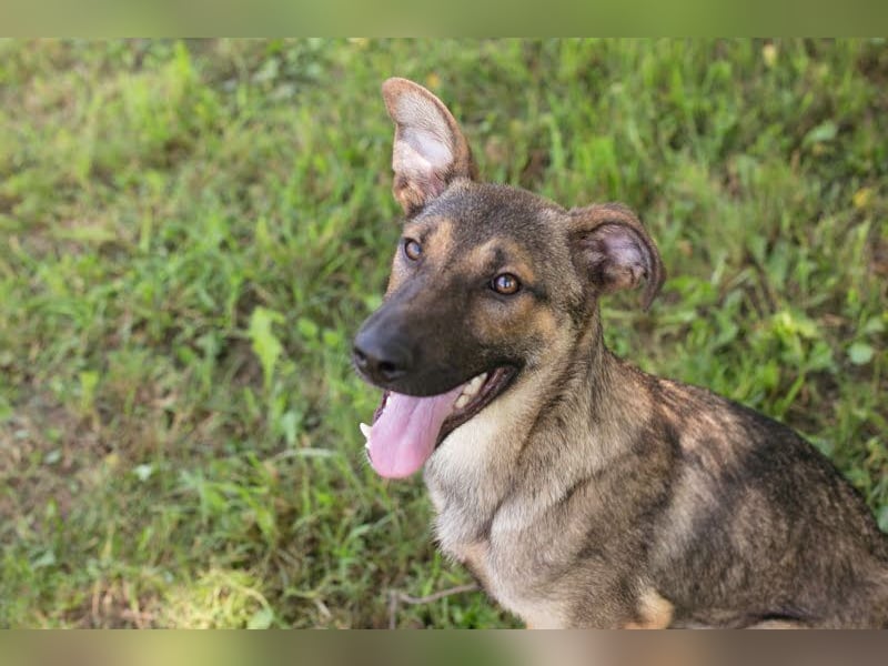 Marlee: Lebensfreude sucht Zuhause