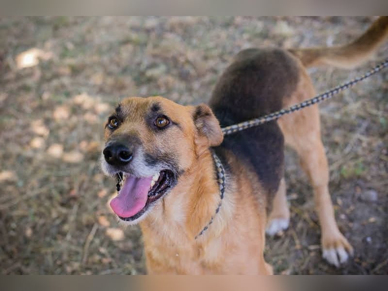 Kastner: Naturfreund mit Köpfchen