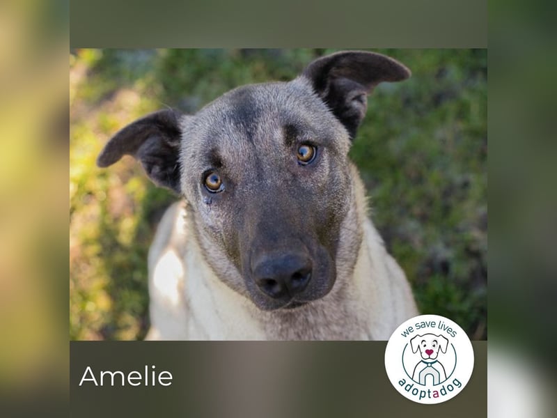 Amelie: Sanftmut trotz Schmerz