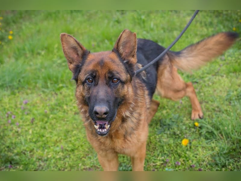 Ich bin Clint: ein Leben in der Warteschleife