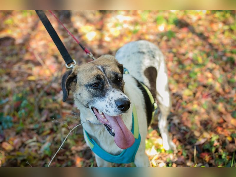 Nada ist voller Hoffnung