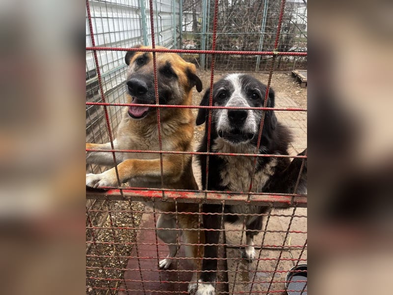 Marty sucht seine Menschen