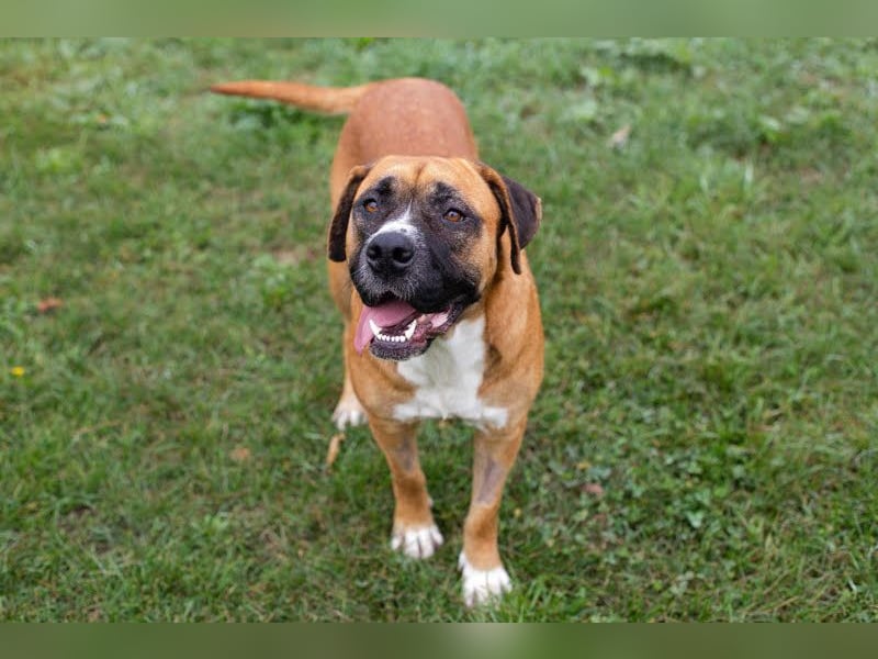 Bonita: Deine neue Wegbegleiterin?